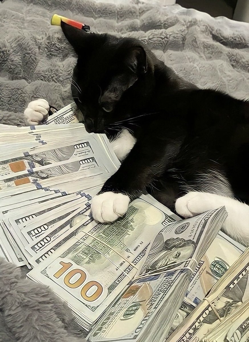 Ya llegó el michi adinerado a bendecir tu economía para esta semana ✨