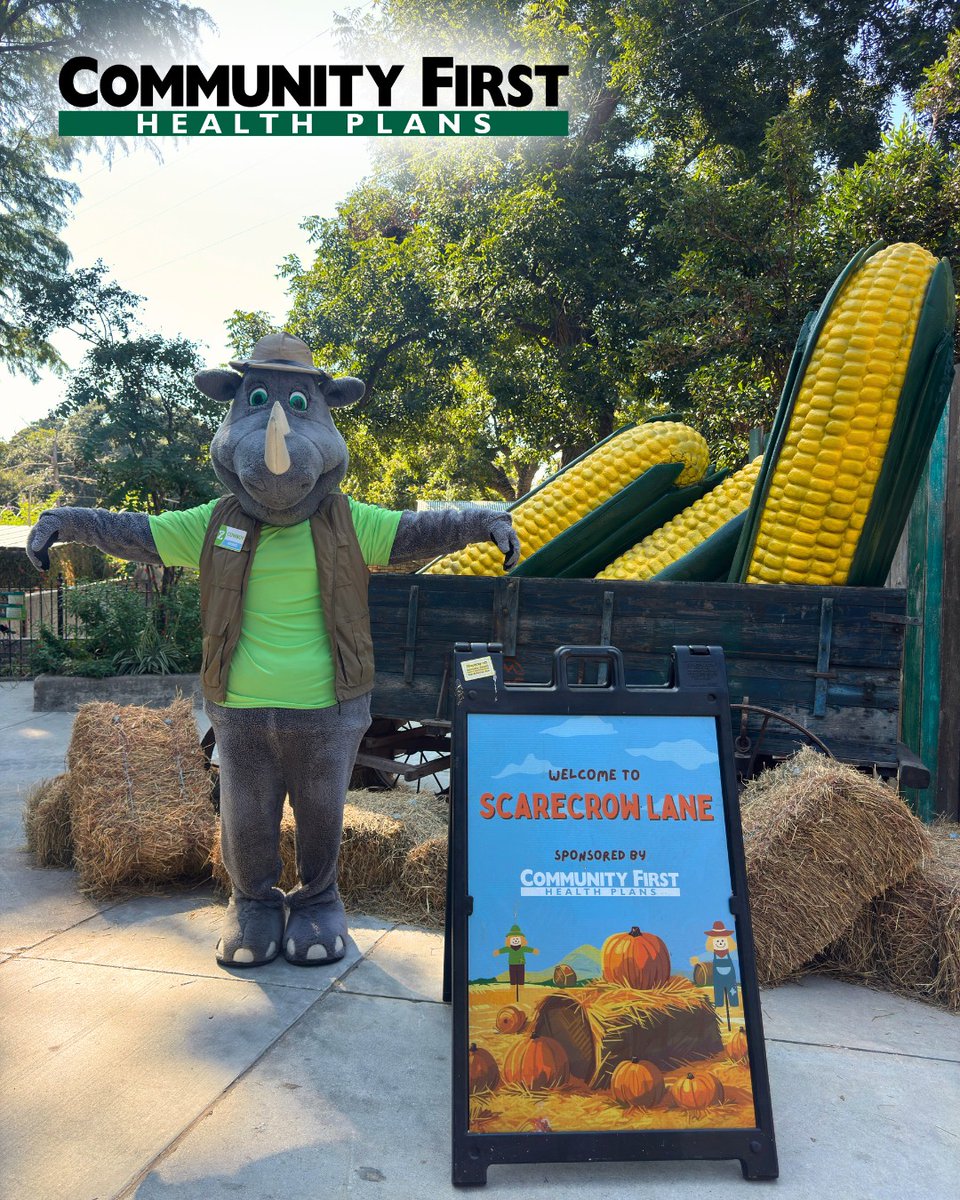 San Antonio Zoo 🦍 tweet media