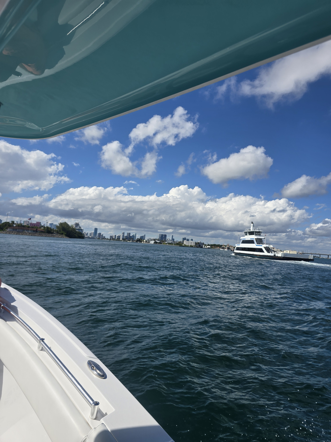 Scale House Charters tweet media