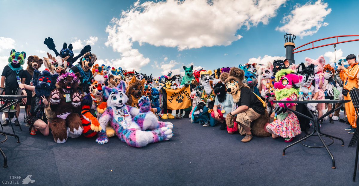 Spooky month, spooky updates: our first round of #Anthrocon 2026 openings is happening soon. As we get things ready, you can read up on things like opening Registration, Dealers applications, Hotel booking dates, and more! 👀

Full announcement: anthrocon.org/news/anthrocon…

📸 Tobee