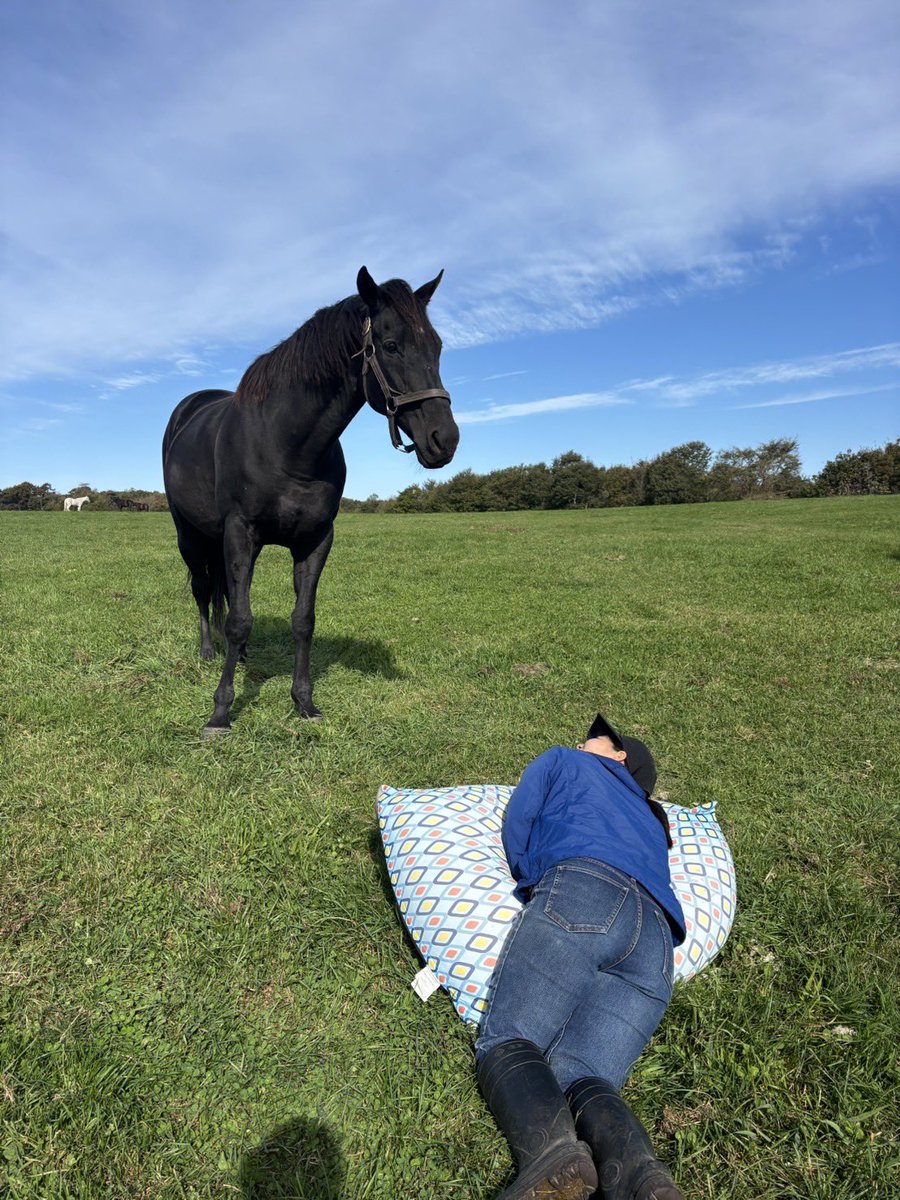 おはようございます☀ ステラリード「横になったらCMに出れるかしら