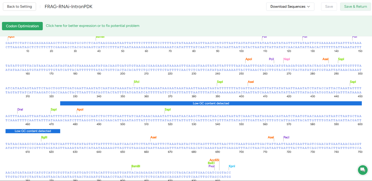 Sebastian S. Cocioba🪄🌷 tweet media