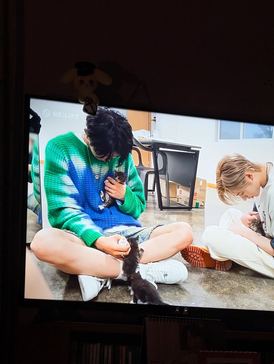 stuckonyeosang's tweet image. Kittens love Heeseung 😻🥰😿

#ENHYPEN #kittens #sooocute #HEESEUNG #ENHYPEN_HEESEUNG