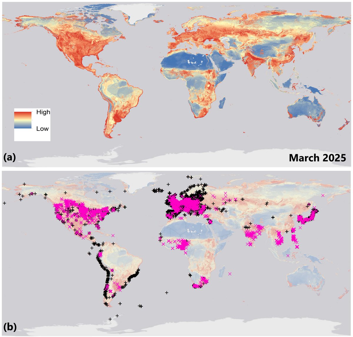 We identified high-risk areas for H5N1 spread and transmission. Based on the distribution of wild birds reported infected around the world, we identified areas of high risk for H5N1 spread and transmission, i.e., areas where the distribution of infected species strongly overlaps.
