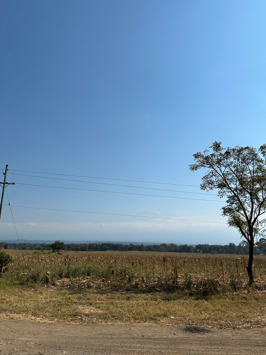 ✨Loki ✨ 🔜 🌍🇹🇿 tweet media