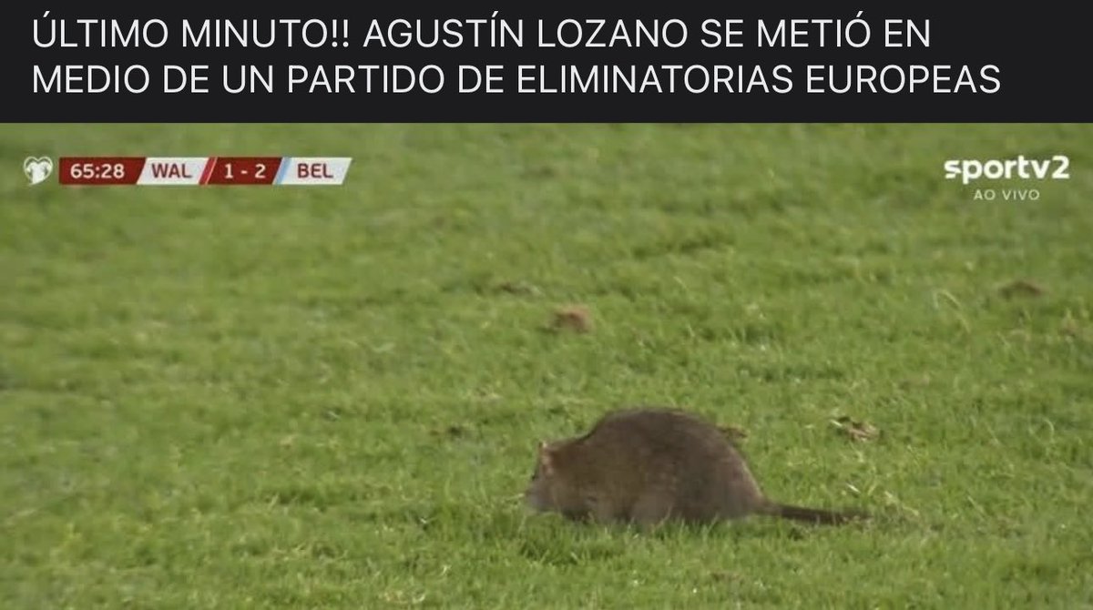 camarapi's tweet image. 