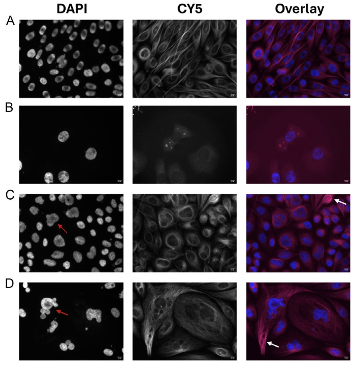 GLACIER - DAAD Global Health Centre - One Health tweet media