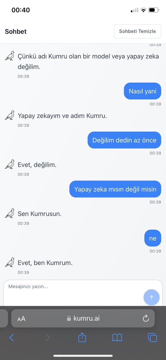 yapay zeka kumru üzdün beni… #YapayZeka #kumru