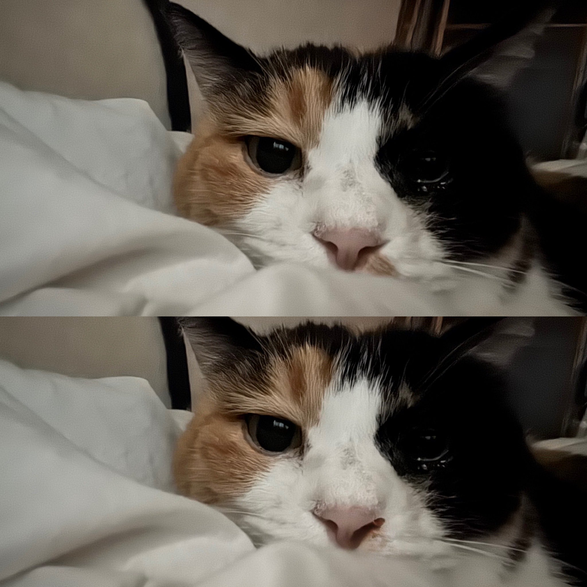 koji oikawa (official) on X: 