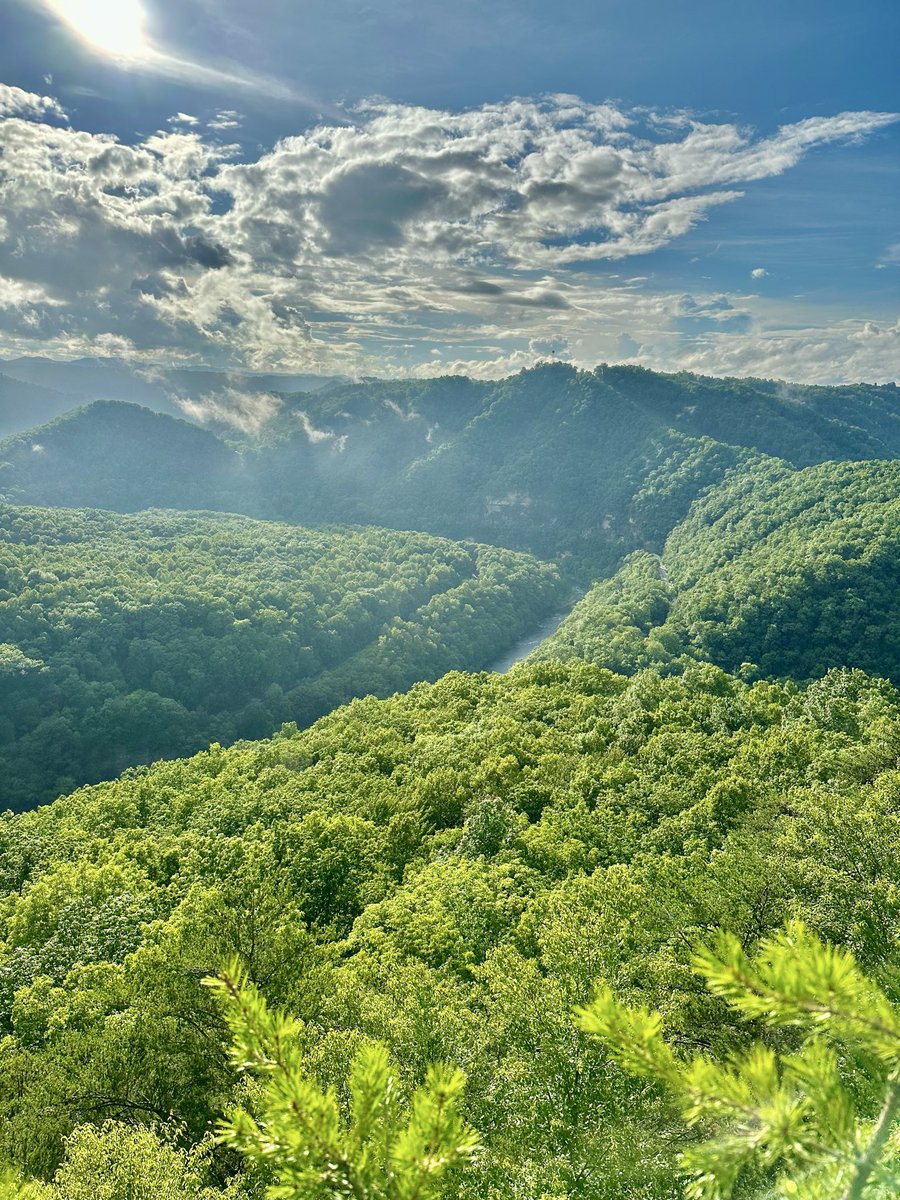 GetOnTap's tweet photo. This is Virginia https://t.co/kd9eeaDWYh