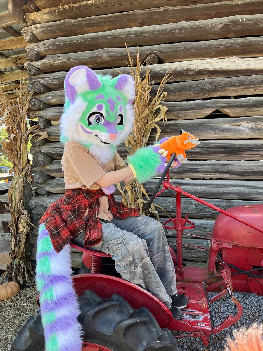 StarlightFursTN's tweet photo. We had so much fun last Sunday at Walden pumpkin farm🎉🎃
#furmeet #tnfurru #tennesseefury #furryfandom #fursuit https://t.co/MPE6M7z5CE