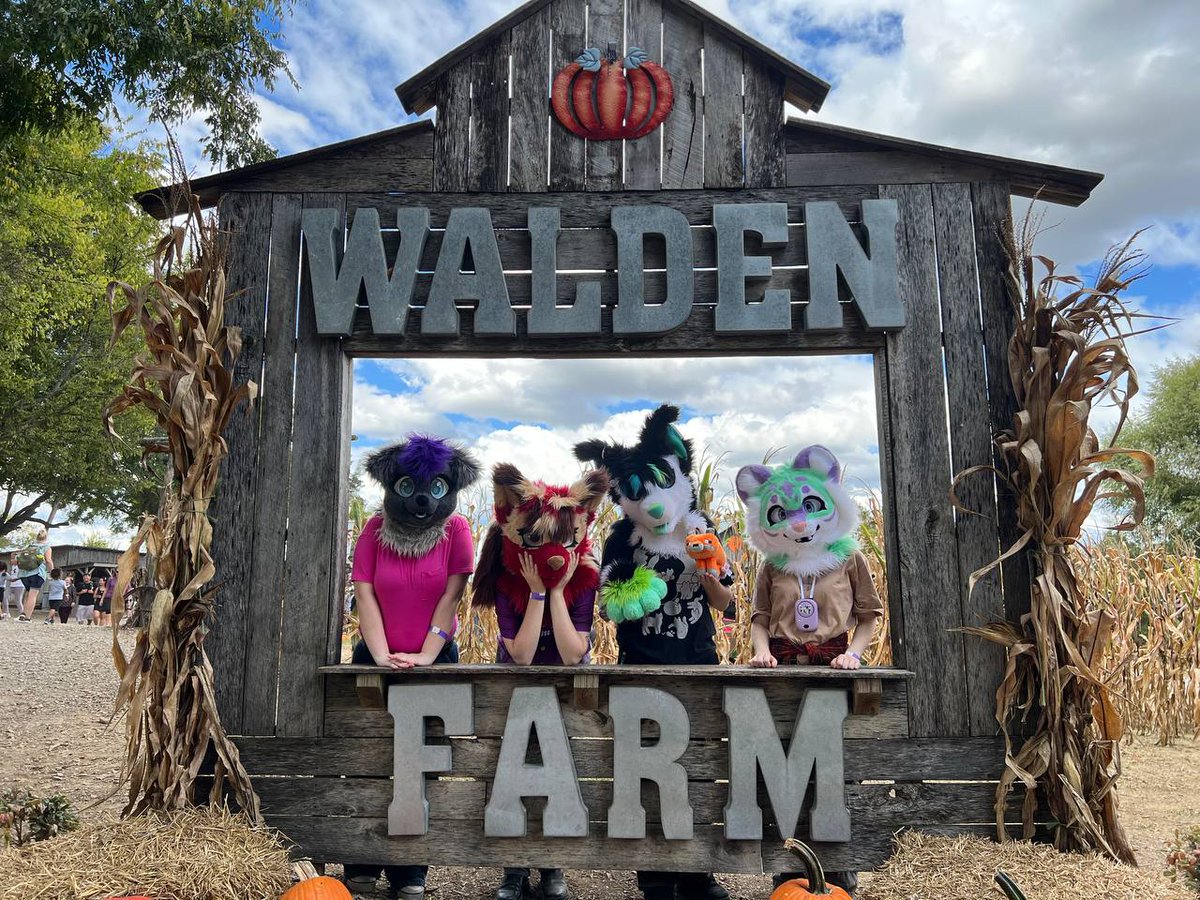 StarlightFursTN's tweet photo. We had so much fun last Sunday at Walden pumpkin farm🎉🎃
#furmeet #tnfurru #tennesseefury #furryfandom #fursuit https://t.co/MPE6M7z5CE