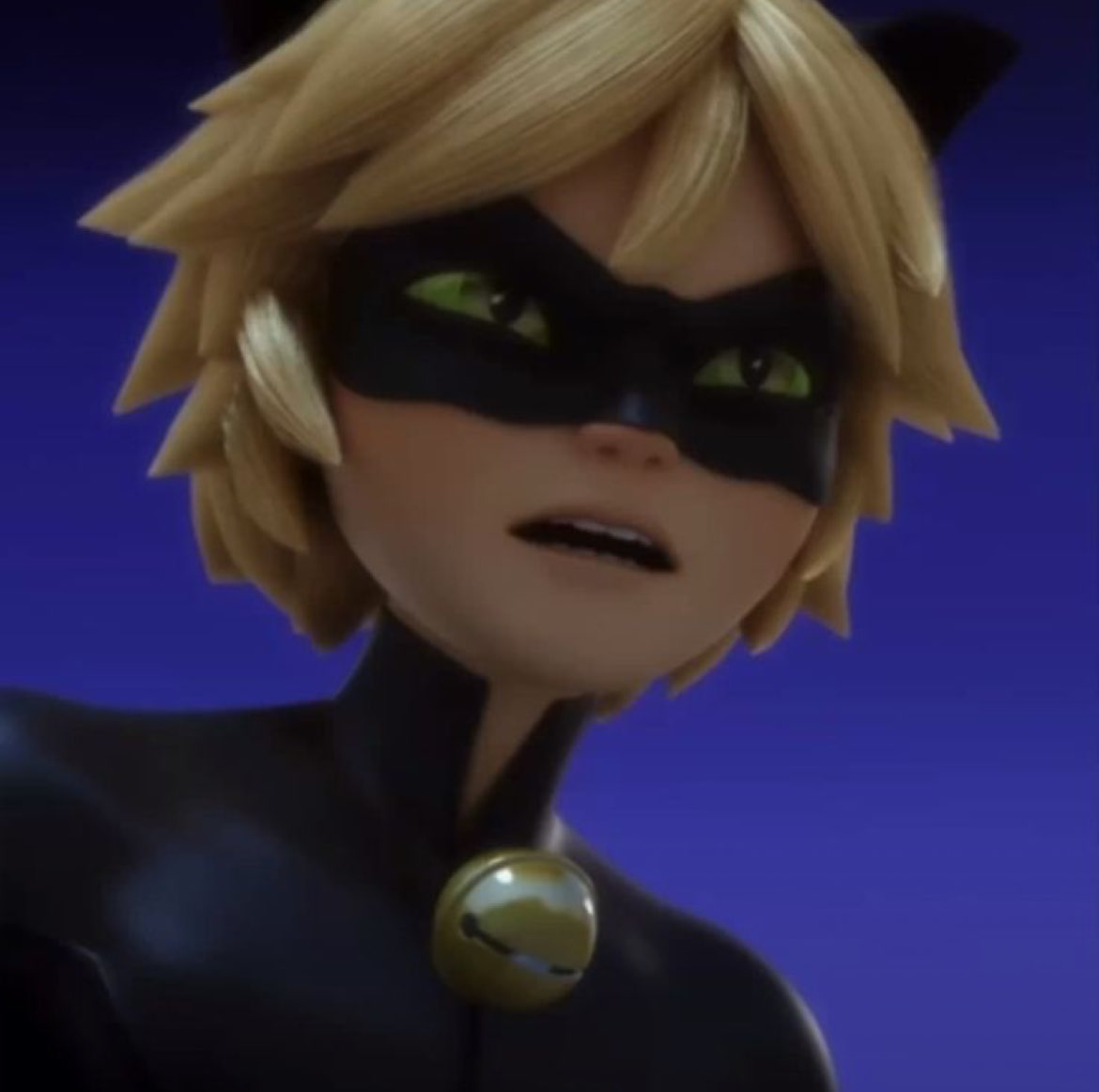 daily chat noir (@chatnoirdaily) on Twitter photo 
