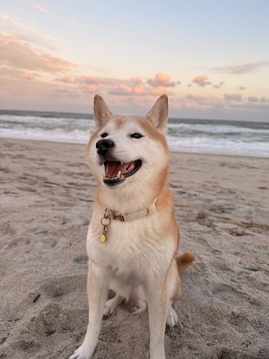 Stan Lewis tweet media