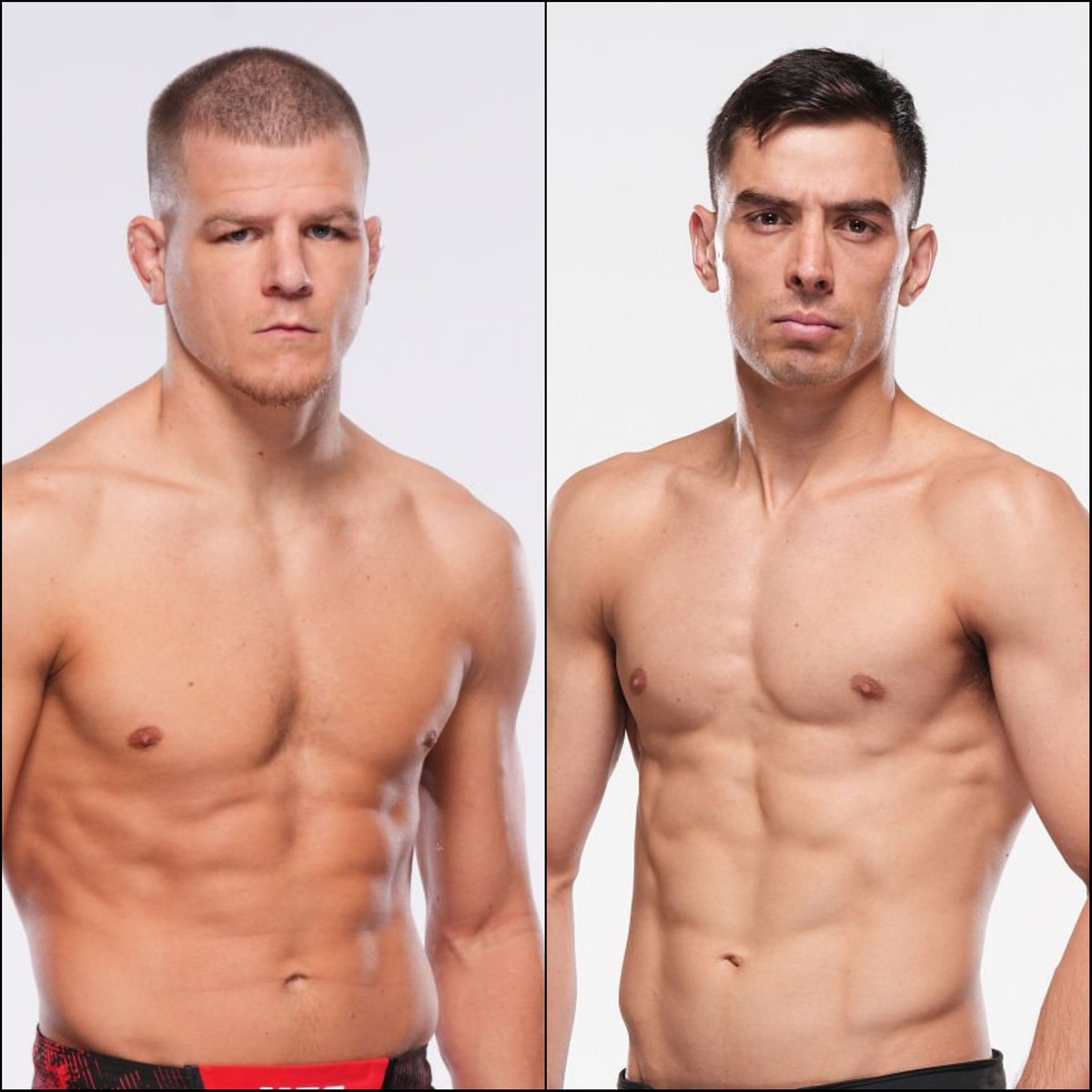 Marcel Dorff 🇳🇱🇮🇩 tweet media