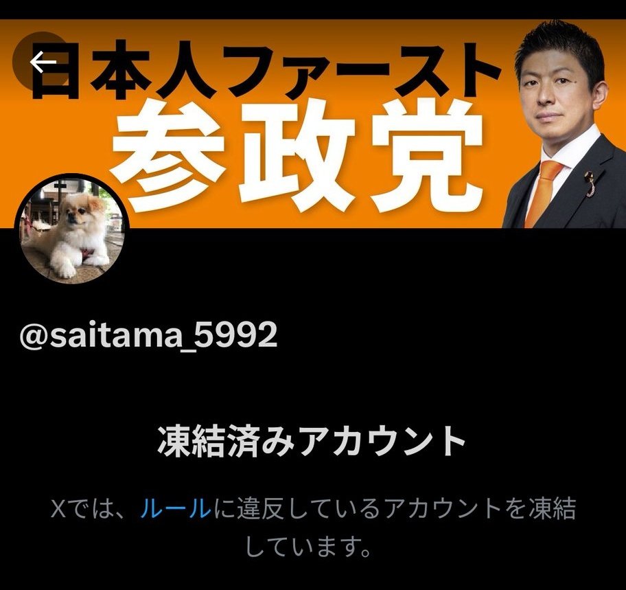 我々参政党支持者の見本のようなさいたまさんが凍結されてしまいました！
その前には小池百合子デモの拡散をしていた黄龍さん、更にテリーマンさんも凍結！更に更に参政党の議員さん（候補者さん）も凍結されました！
日本のXは信用できません！
イーロン・マスクに直接声を届けましょう。#拡散希望