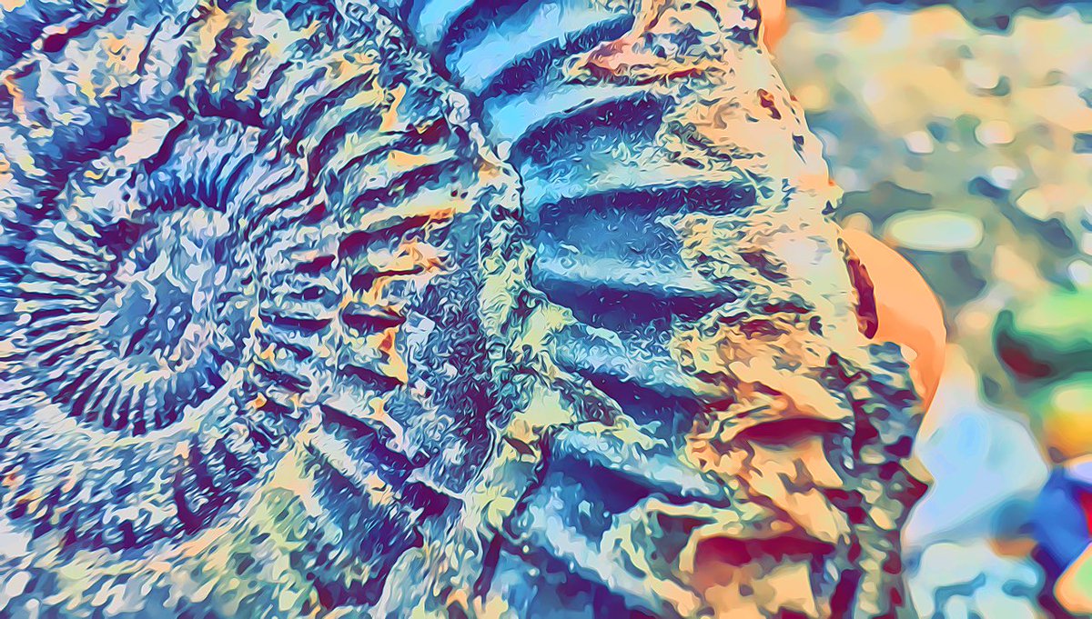 NaturesBeautiii's tweet image. These Giant Stones Were Sealed for Millions of Years – Here’s What We Fo... youtu.be/2Q7aMsOvaIA?si… via @YouTube A cracking day at the Sea Shore #Yorkshire #Fossils #Ammonite