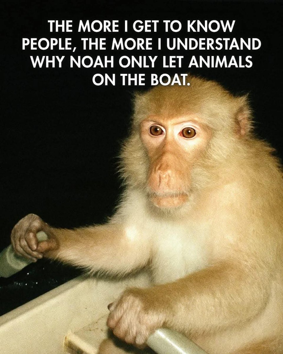 Joe Duley (@joeduley) on Twitter photo 