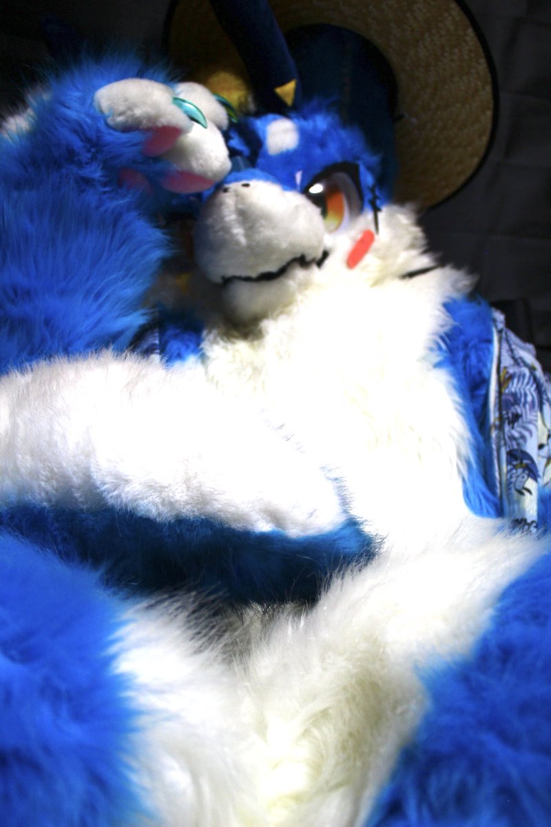 もふもふするッス？