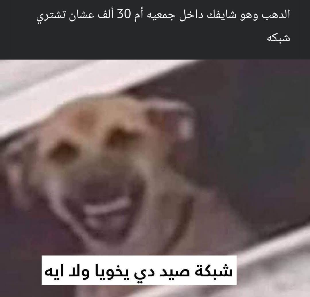 arabmemesss's tweet photo. https://t.co/k1BOOwUfZi