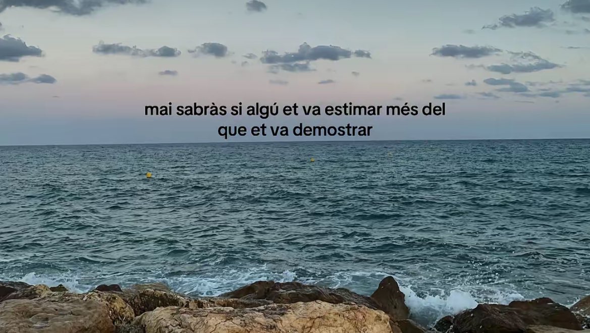 si tweet media