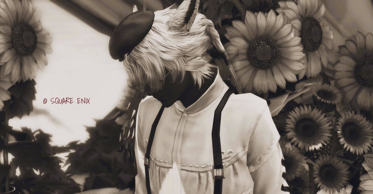 her_ff14's tweet photo. おはよ 𓂃◌𓈒𓐍🐈‍⬛🐾

🏷️ #Studio_kl

 #FF14SS https://t.co/sH83W9mgkD