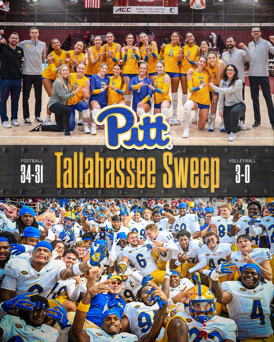 felt right at home in Tally 😼