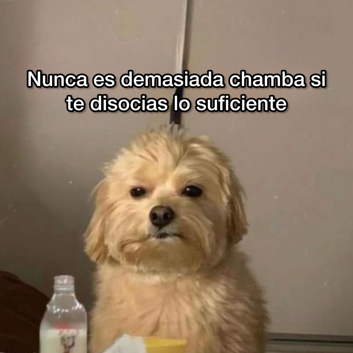 Guarromantico_'s tweet photo. Nunca es. https://t.co/4kHM5lpCCE