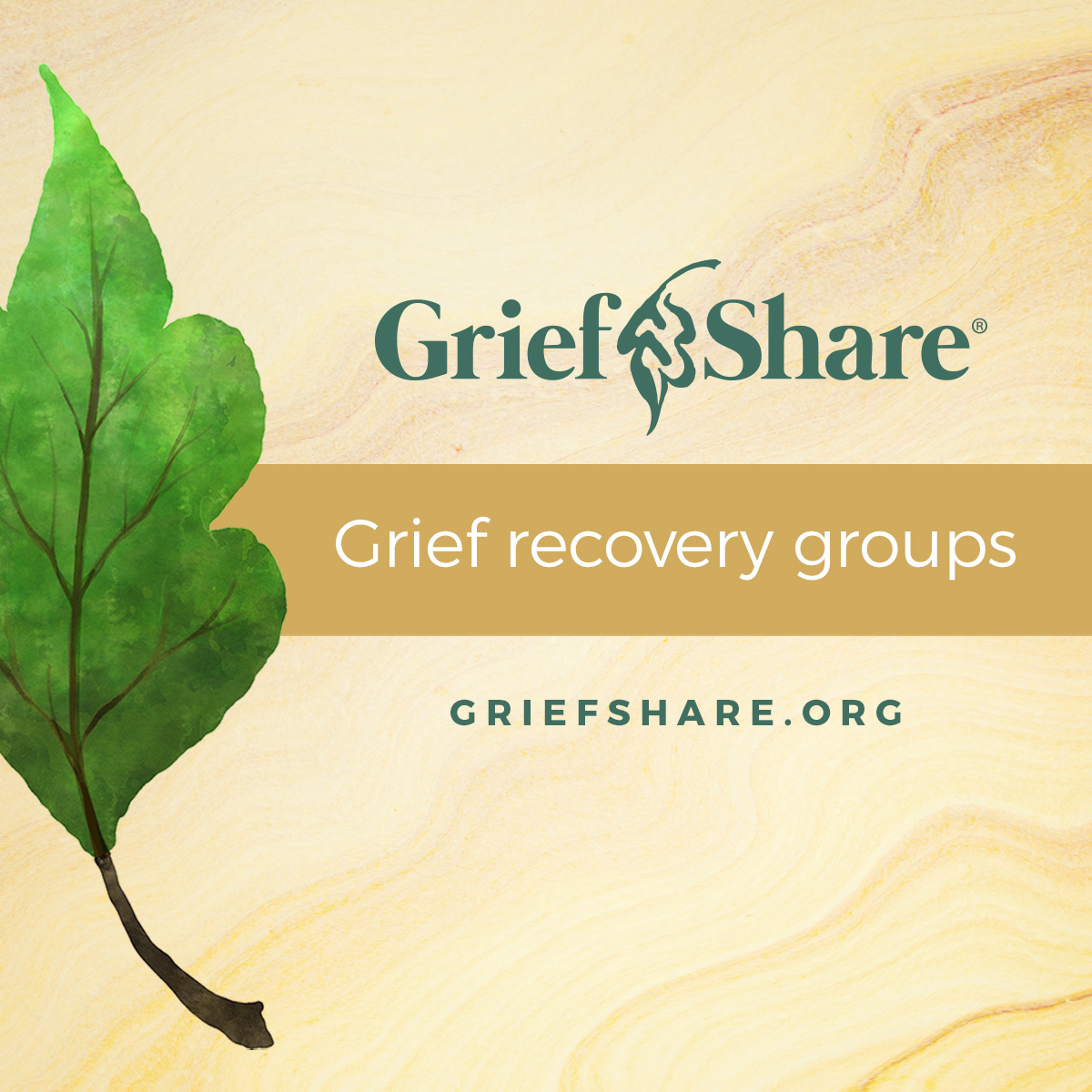 mcn_connect's tweet image. 💔 Going through a tough time after losing someone? Join us for GriefShare! This 13-week program offers a comforting space to heal and find hope together. 🌟
📅 TUESDAYS @ 6 PM
#YouAreNotAlone #GriefShare