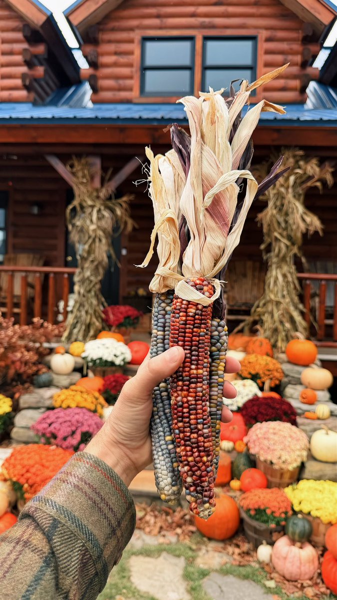 ▼ Kiel James Patrick tweet media