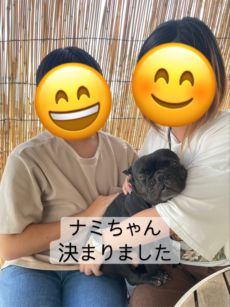 ナミちゃん🐾
里親さまが
決まりました🐶