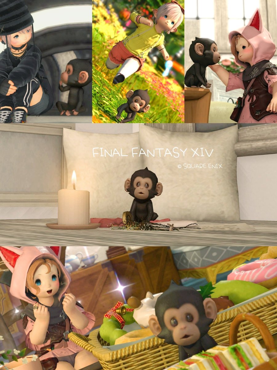蒼天のストーリーとエレゼンとチンパンジーに癒やされた休日でした(ᐛ )*

#FF14 #おはララ #ララフェル