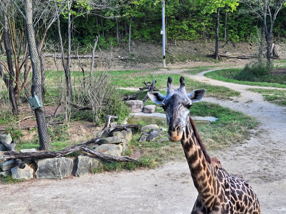 Fun Weekend in Cincy