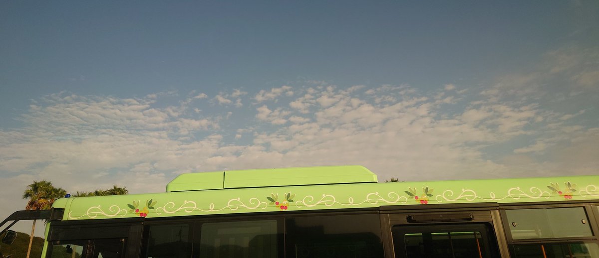 おはようございます！小豆島オリーブバス、本日運転業務な2号です！

本日の小豆島も晴れの朝となりました！

本日大木戸にて祭り開催のため
・田ノ浦線
・北廻り福田線
は迂回ルートでの走行となり「鹿島海水浴場」「鹿島中」には停車しませんのでご注意下さい
#企業公式が毎朝地元の天気を言い合う