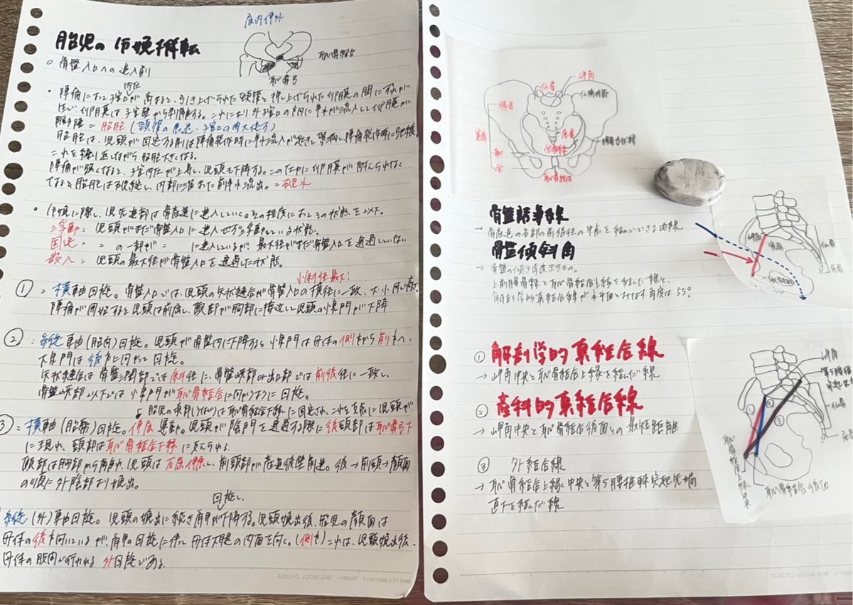 助産師学校学科対策コース 重要な箇所はまとめノートを作ってもらっ