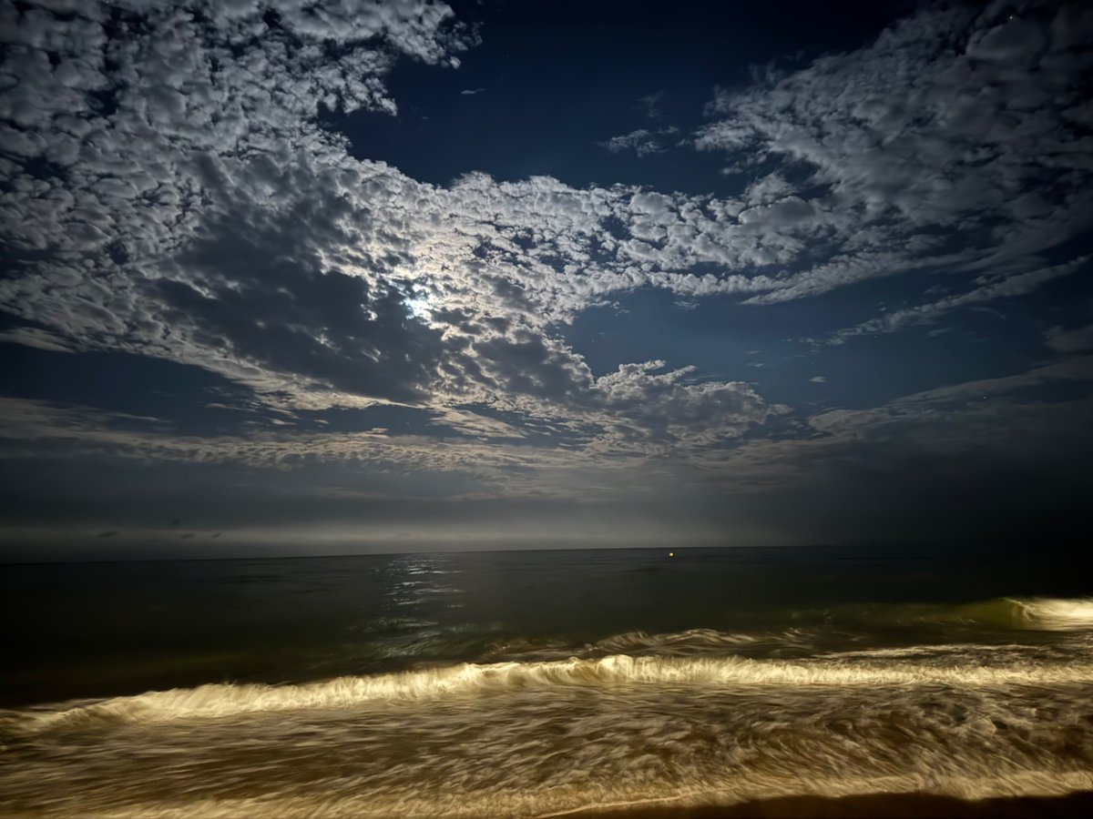 javituda's tweet image. 