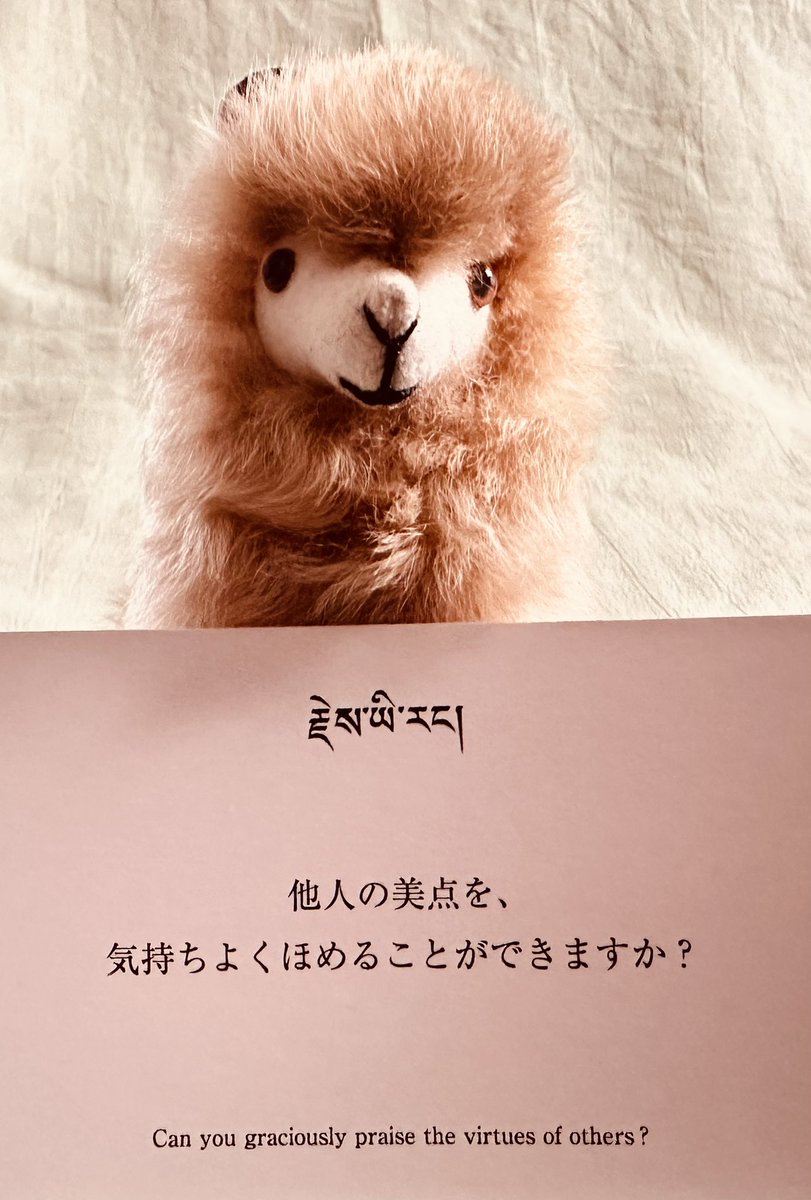 eito8mission's tweet photo. 今日のアルパカ様のおことば🐾
「今日1人でも誰かを褒めてみよう」 https://t.co/dY1xMuidjP
