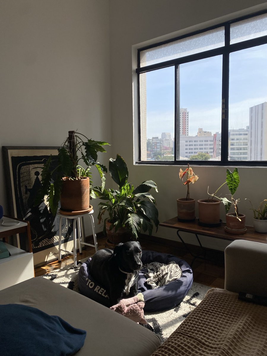 horamaisescura ✶ tweet media