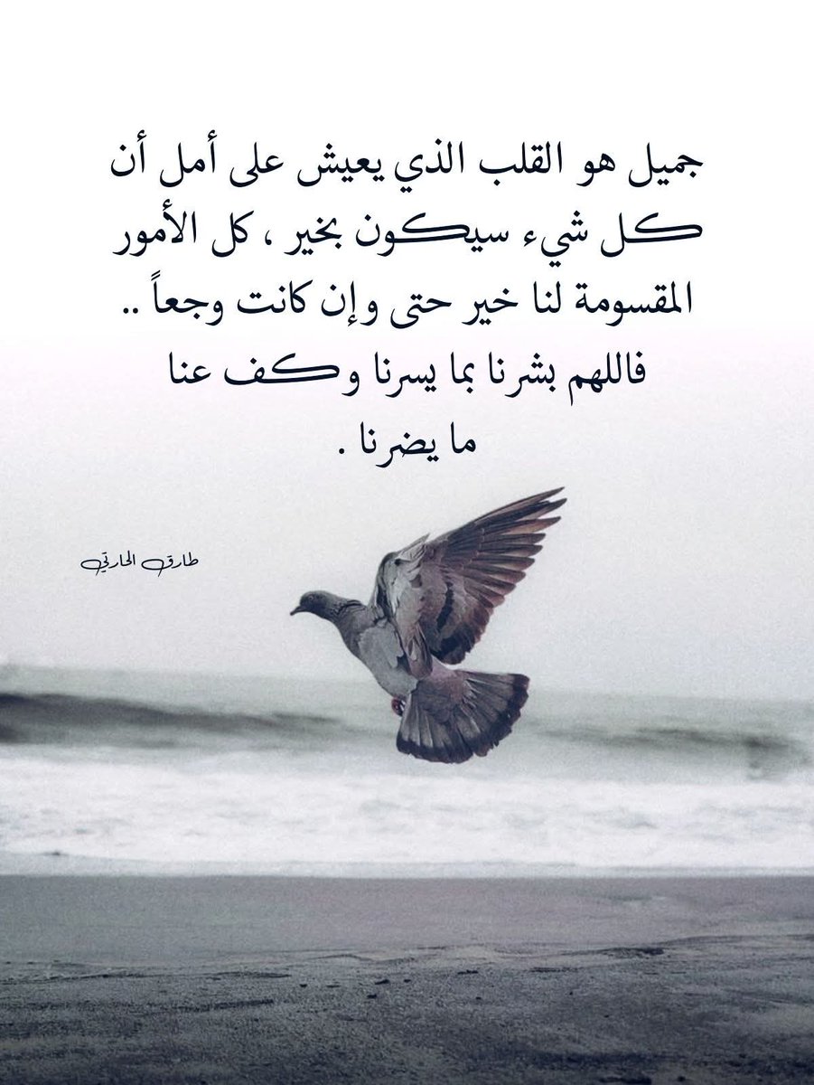 🌸Emy Mohamed🌸 (@manymoh70342570) on Twitter photo 