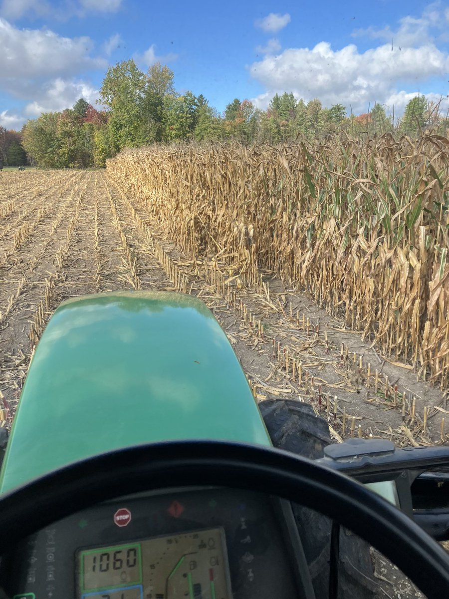 Corn Grower tweet media