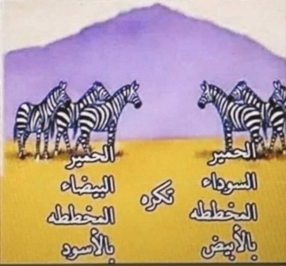 حال وطنجية المغرب والجزائر باختصار :