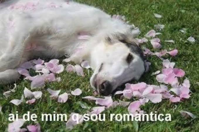 estou num momento de muita aversão ao amor romântico apesar de eu ser esse meme