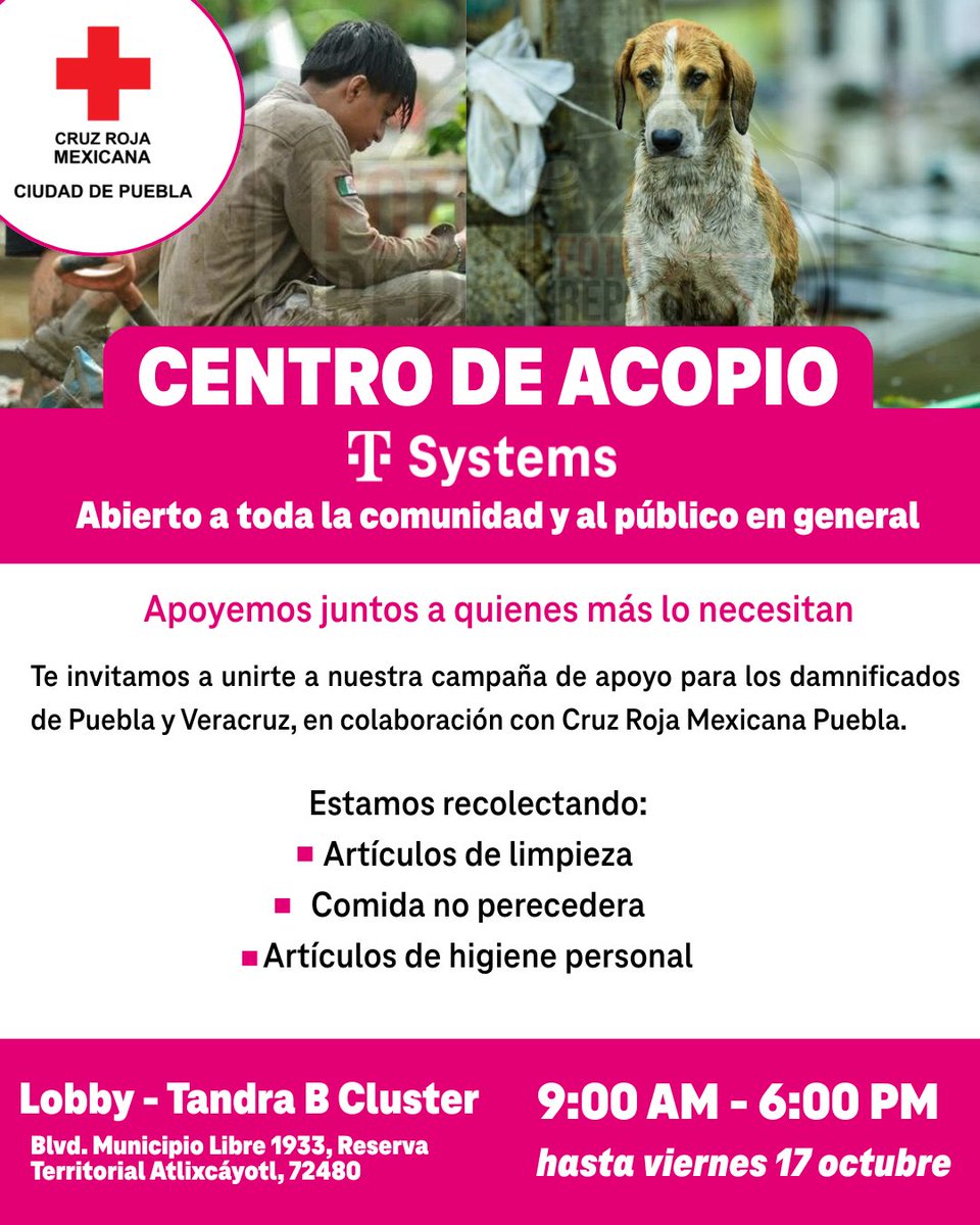TSystemsMX's tweet image. Ante las recientes afectaciones en Puebla y Veracruz, te invitamos a unirte a nuestra campaña de apoyo para los damnificados en colaboración con @CruzRojaPuebla.
Todo lo recolectado será entregado directamente a la Cruz Roja Mexicana Puebla.
¡Tu ayuda hace la diferencia! 🩷