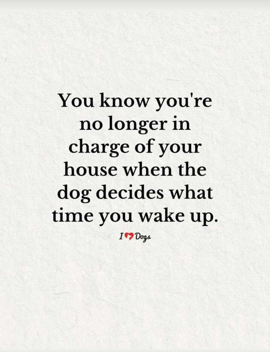 Puppies 🐶 (@puppiesiover) on Twitter photo 