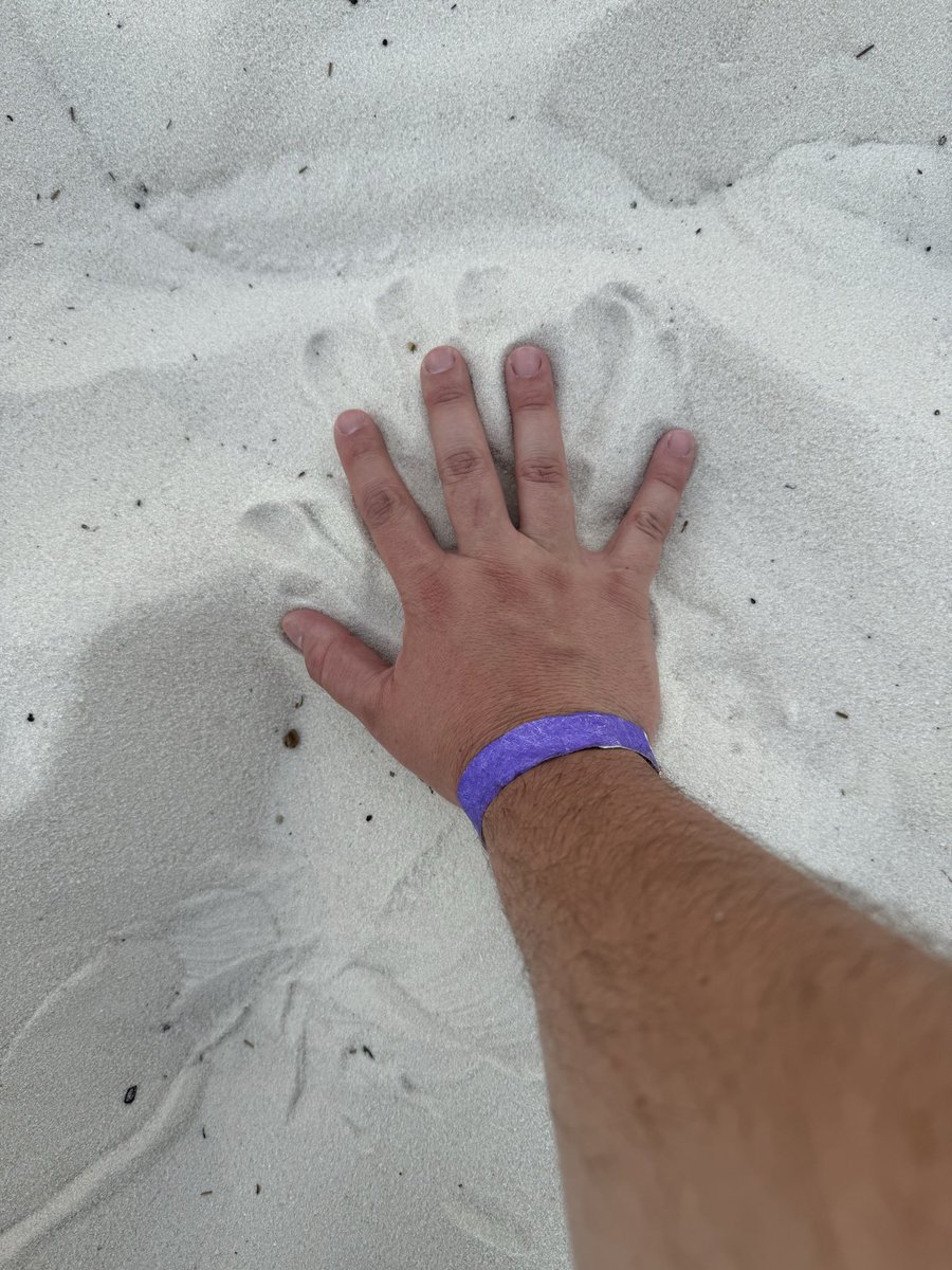 Forget grass, touch sand