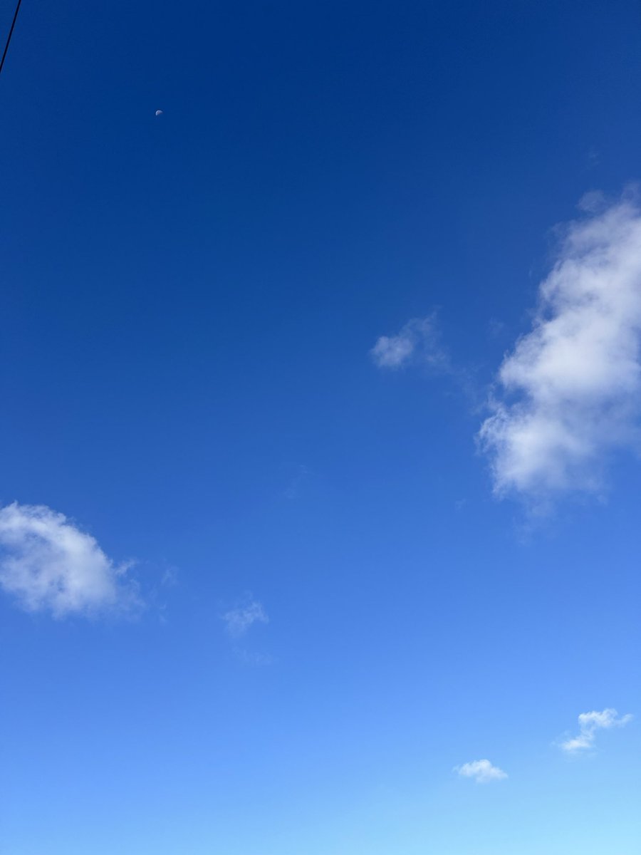 見上げれば青空