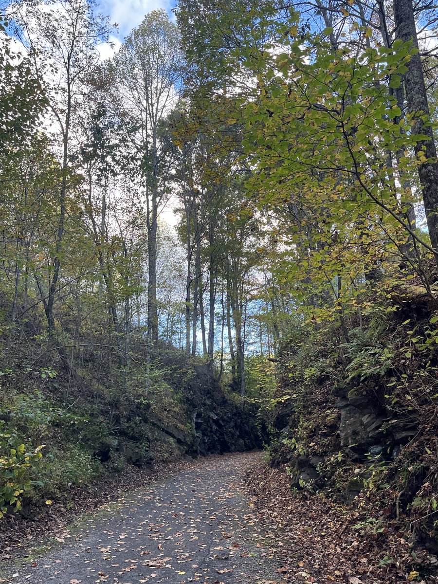 Bill Hartley tweet media