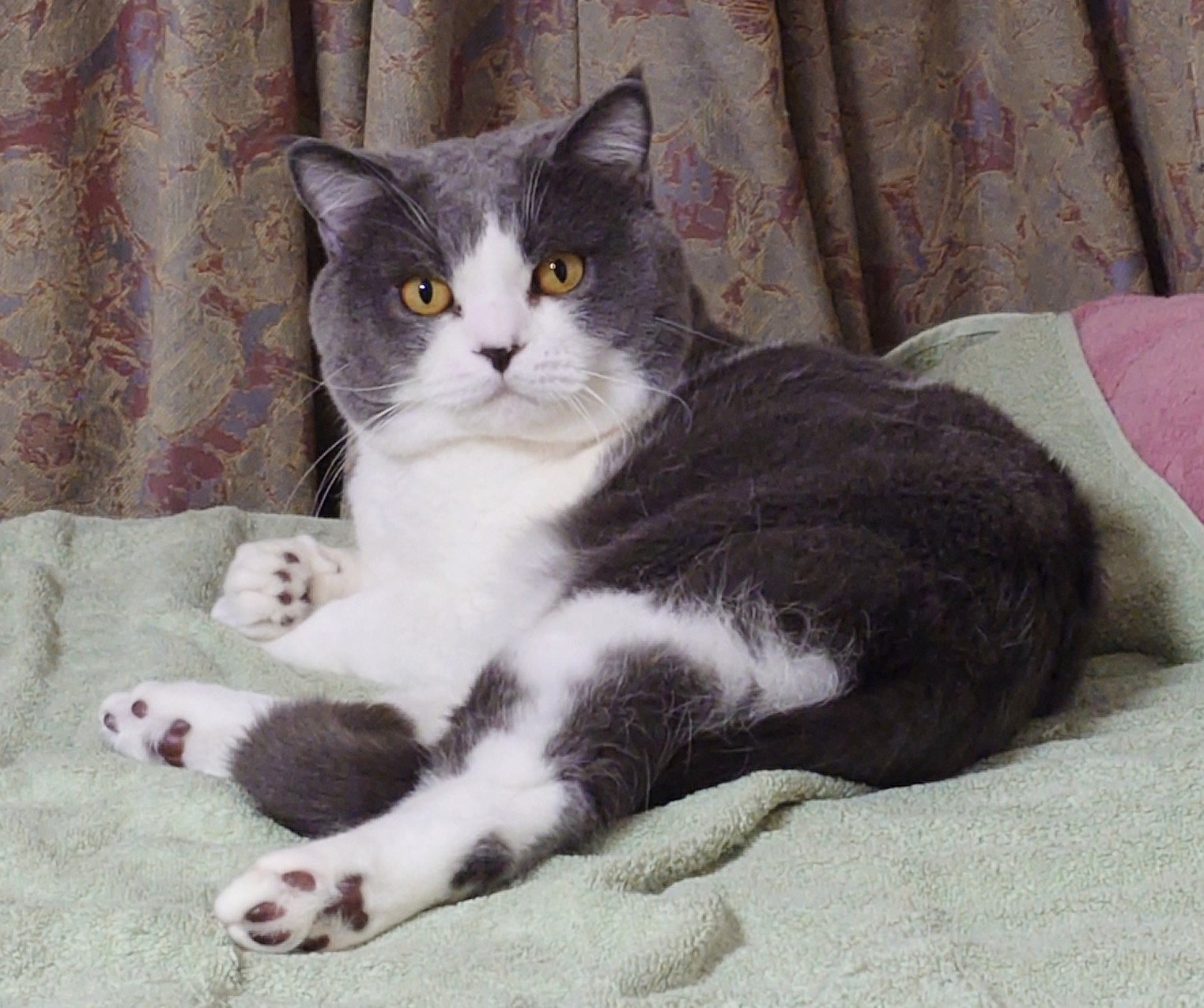 沙門 BIKE垢？@ぱんとも on X: 