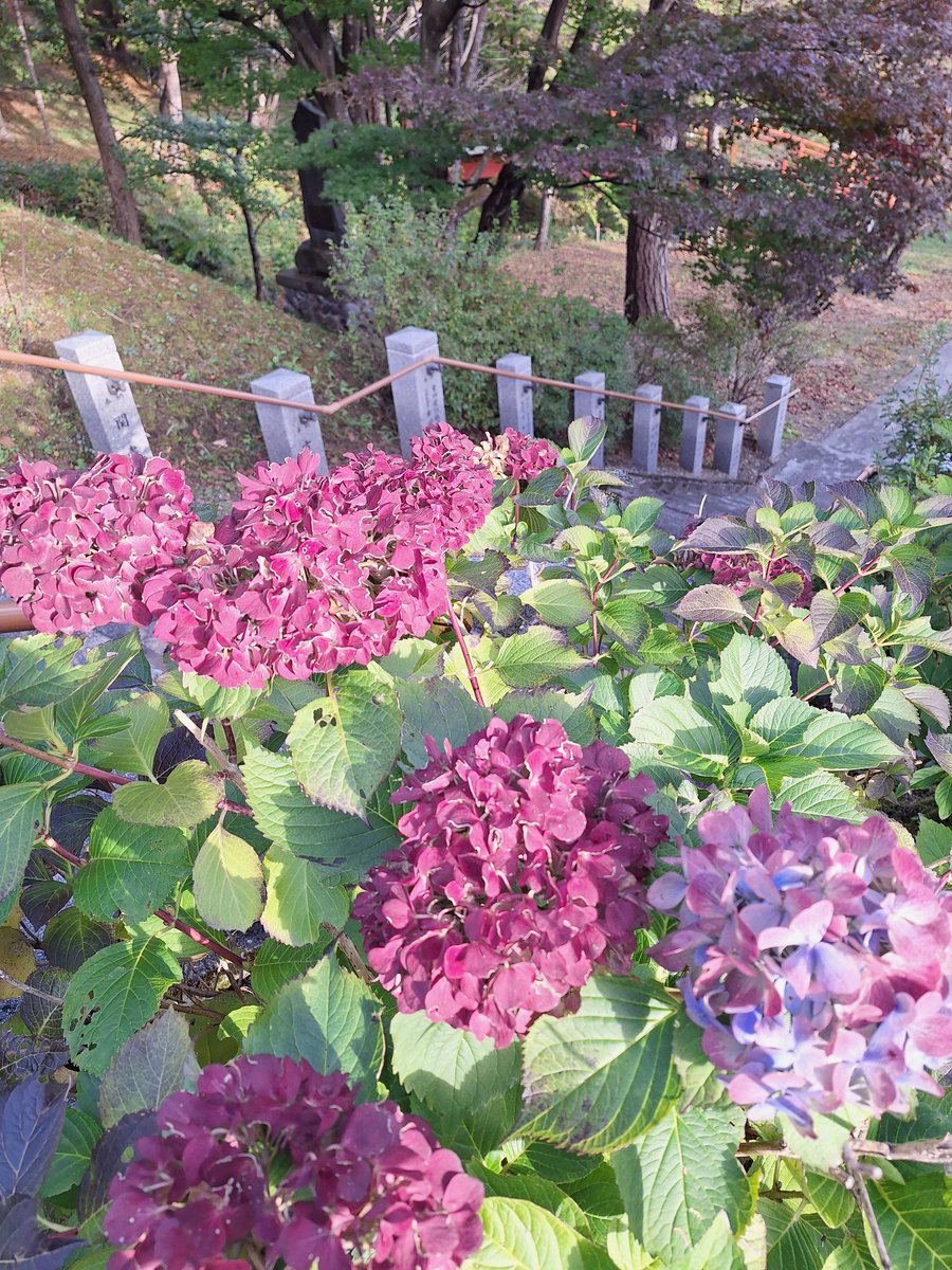 今日も一日
平穏無事に
心穏やかに

#士幌神社
#鹿追神社
#新得神社