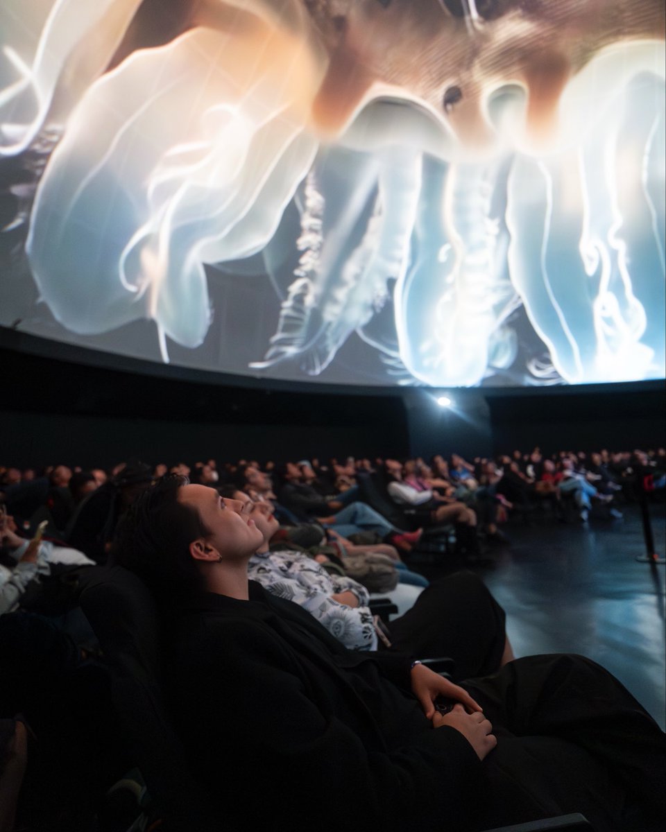 LineaACT_'s tweet image. La obra inaugural celebró 15 años del ensamble con una experiencia inmersiva sobre la soledad y la conexión. 

El Festival #RealMix 0.5 sigue el viernes 17 de octubre a las 7:30 p.m. en el domo con Console.log(❞ElRuidoDeLaMontaña❞), teatro VR del colectivo ÁGORA.

#AquíSíPasa